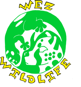 Wez Wildlife